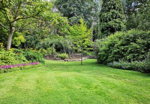 Optimiser l'expérience du jardin à Montacher-Villegardin